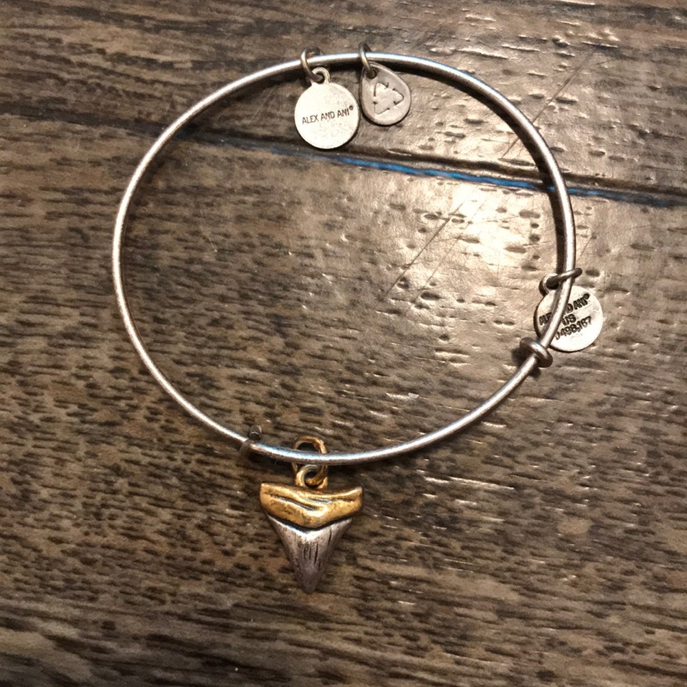 Alex and ani shark tooth